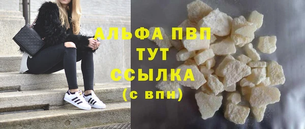 прущие грибы Богородск