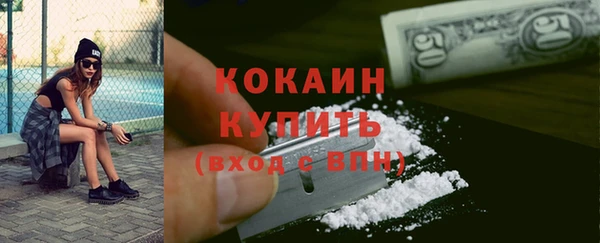 прущие грибы Богородск