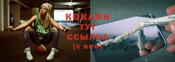 МДПВ Богданович