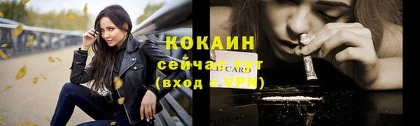 прущие грибы Богородск