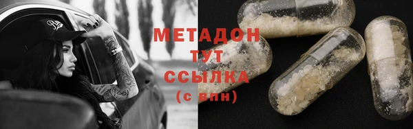прущие грибы Богородск