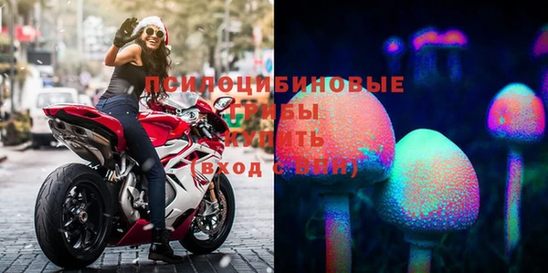 mdpv Богородицк