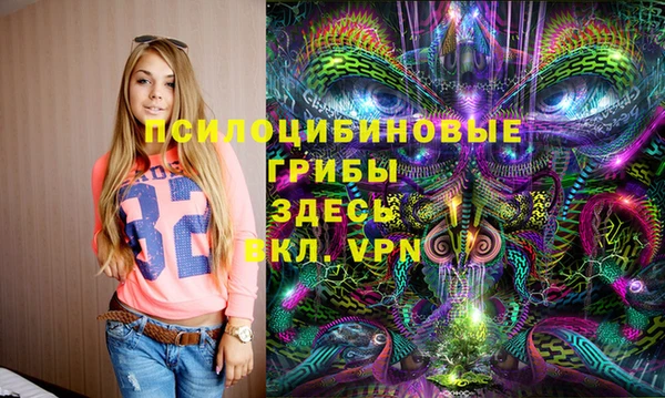 МДПВ Богданович